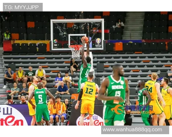 塞内加尔与澳大利亚比赛战况深度分析及未来展望